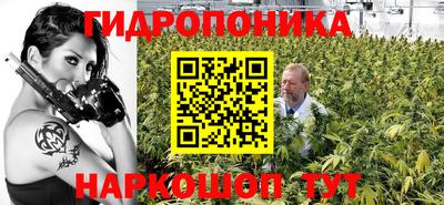 скорость Кинель