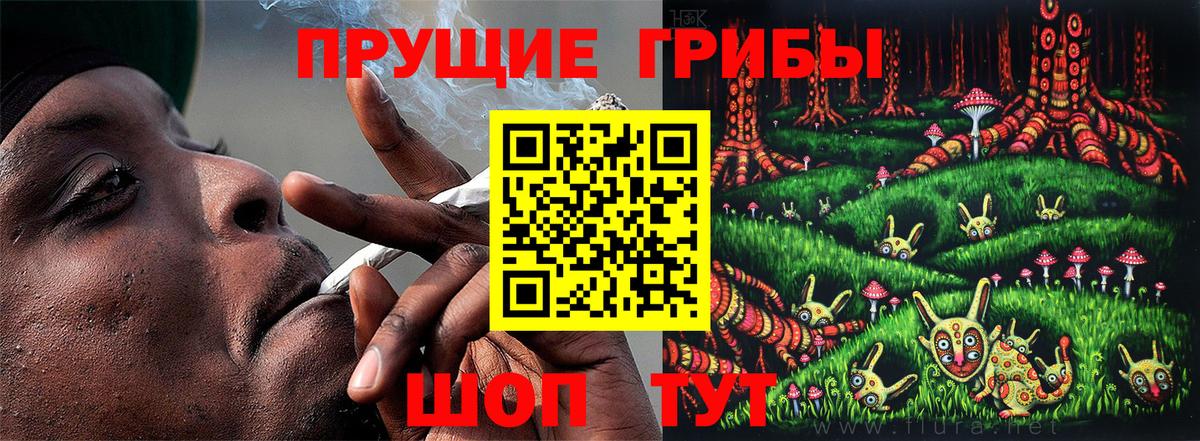 Псилоцибиновые грибы мухоморы Краснодар