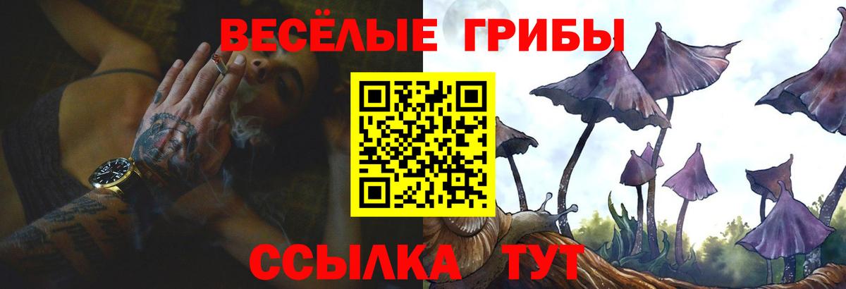 Псилоцибиновые грибы MAGIC MUSHROOMS  Вход с VPN  Галлюциногенные грибы MAGIC MUSHROOMS  Краснодар 